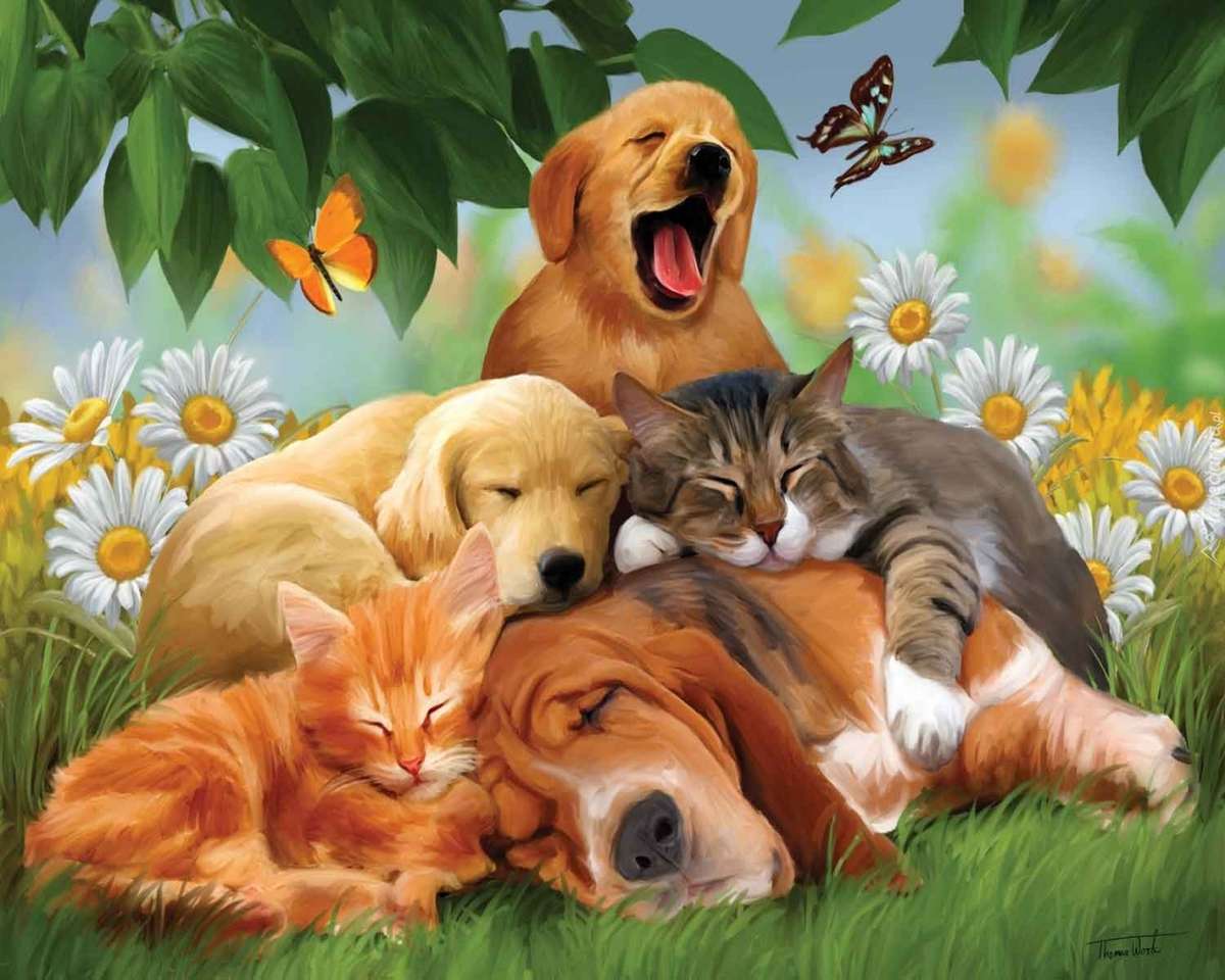 Śpiące zwierzęta puzzle online