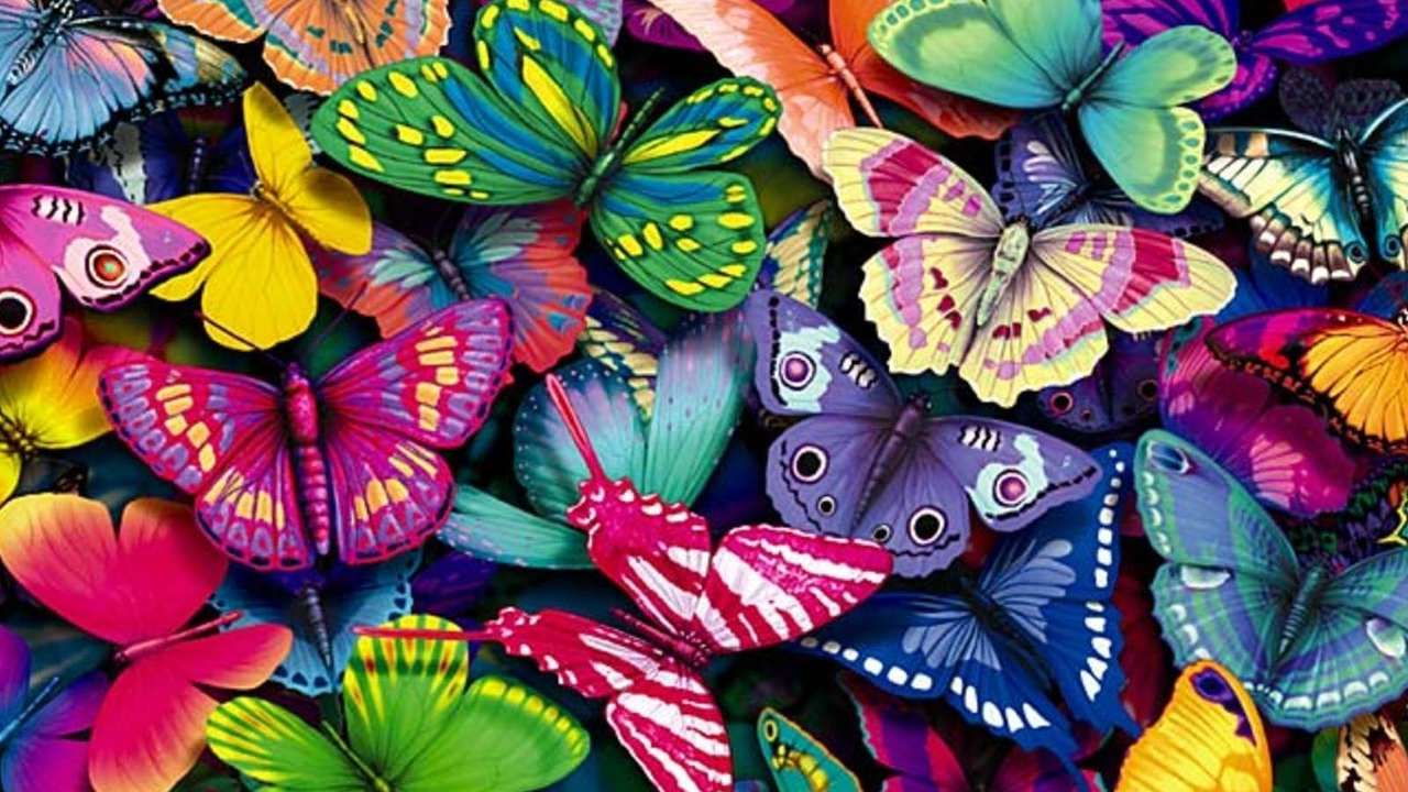 Kolorowe motyle. puzzle online