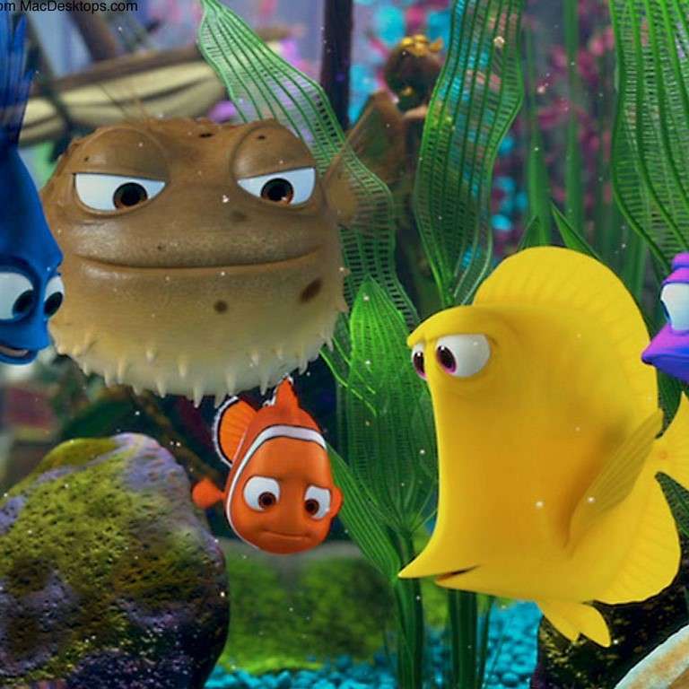 Unde este Nemo. puzzle