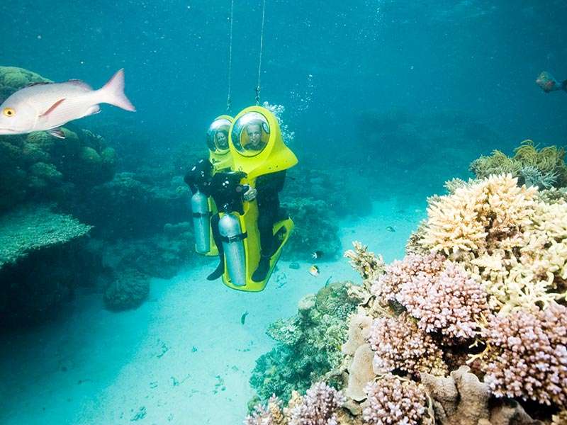 Scuba Doo- wycieczka do Rafy Koralowej puzzle online