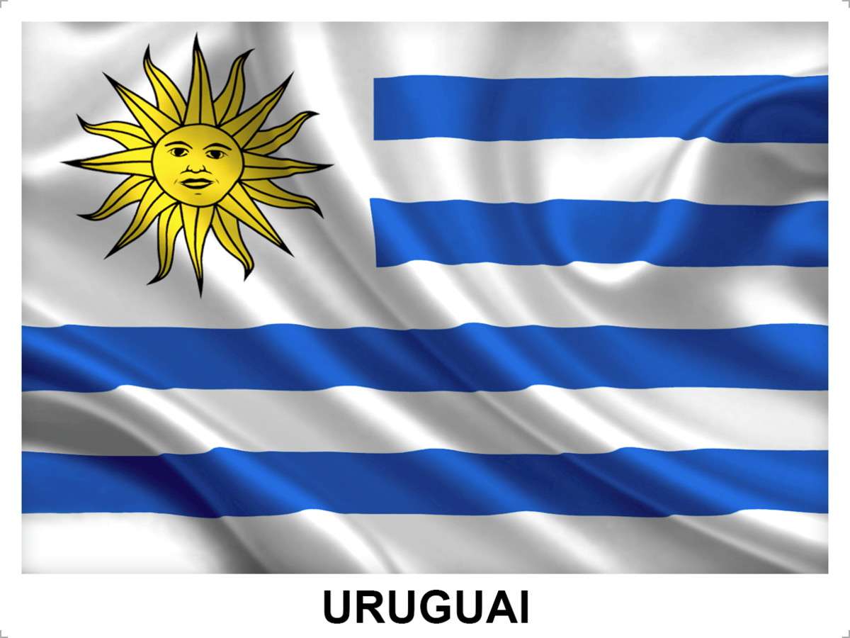 Flaga Urugwajska puzzle online