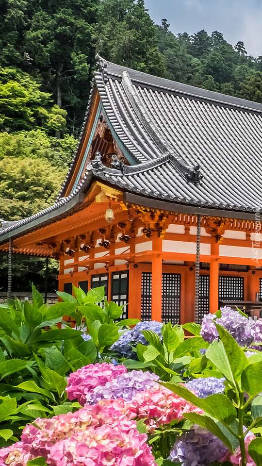 Katsuō-ji- świątynia buddyjska w mieście Minō puzzle online