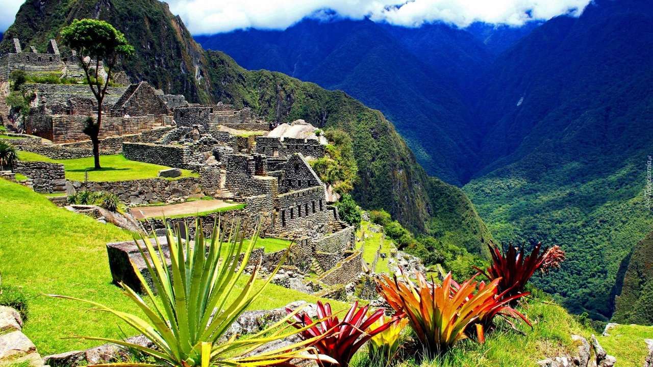 Machu Picchu /Peru/ - Stary Szczyt puzzle online