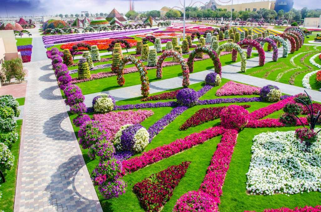 Ogród botaniczny w Dubaju puzzle online