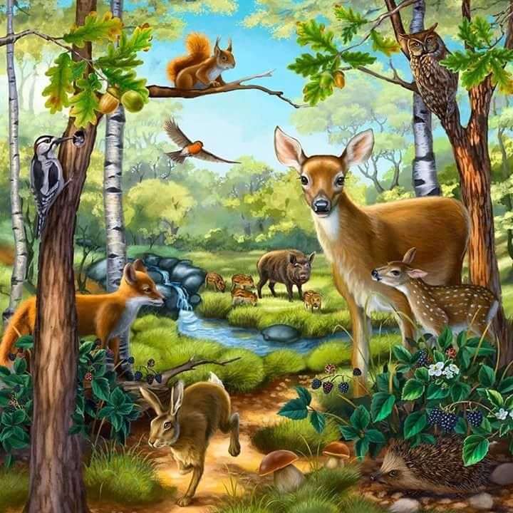 Zwierzęta w lesie puzzle online