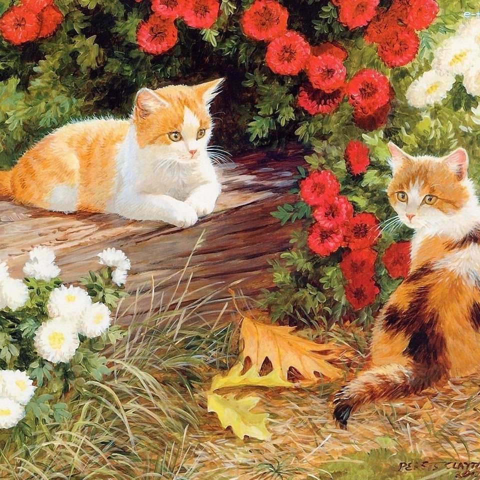 Koty wśród kwiatów puzzle online