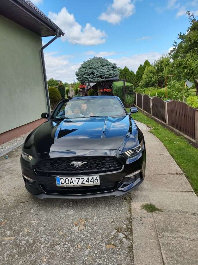 Błack Mustang puzzle online