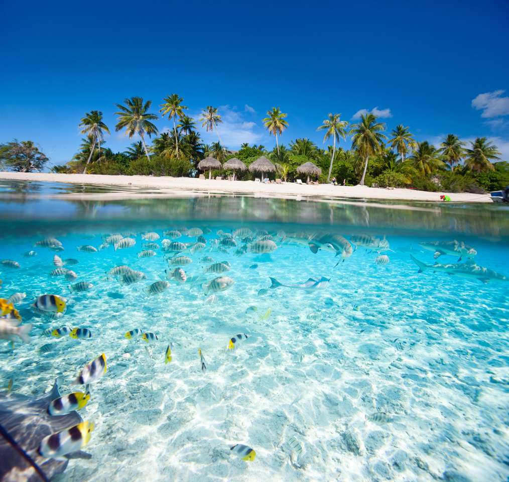 Piękna tropikalna wyspa w francuskiej Polinezji pod wodą i nad wodą puzzle online