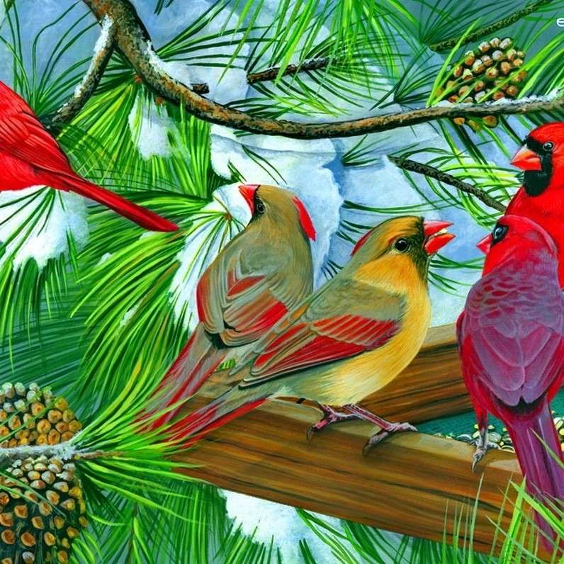 Ptaki  kardynały puzzle online