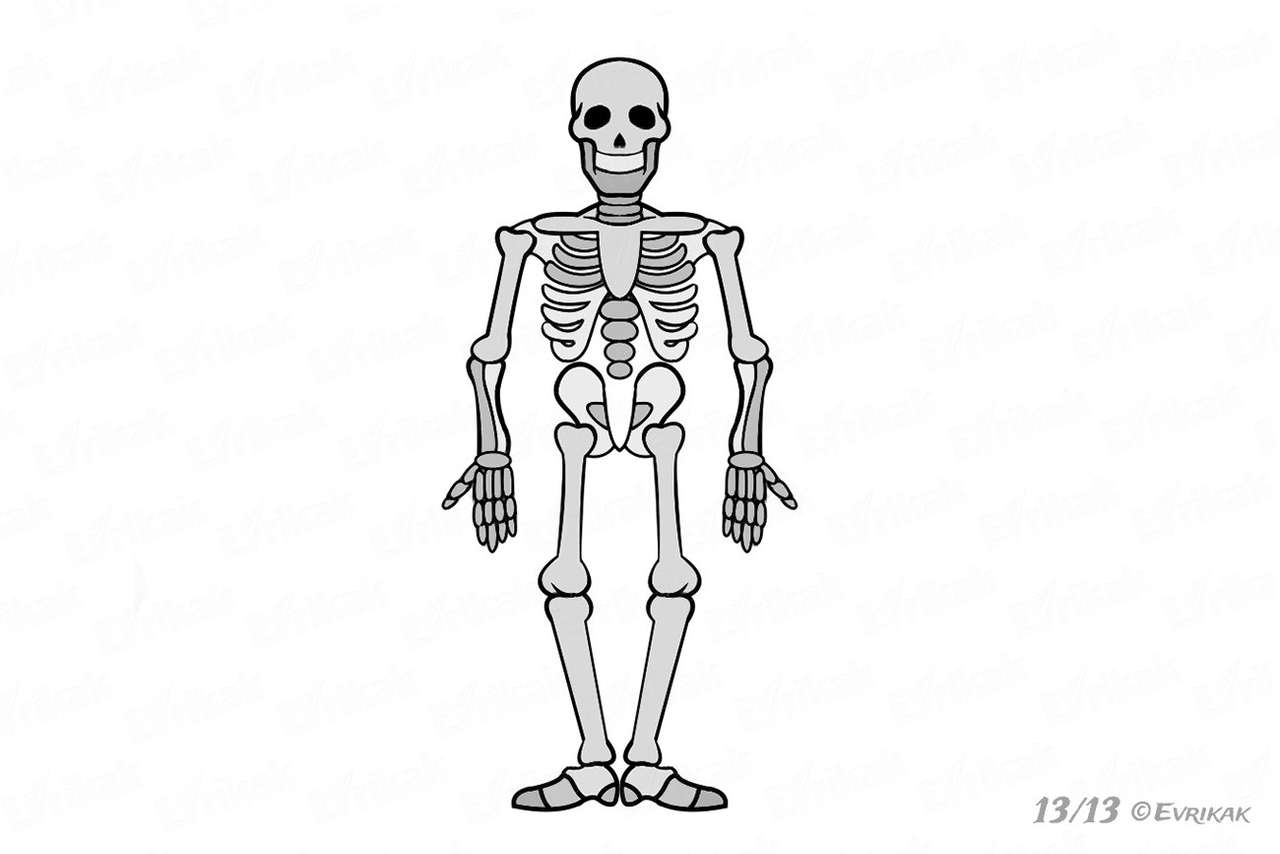 2-letni szkielet puzzle online