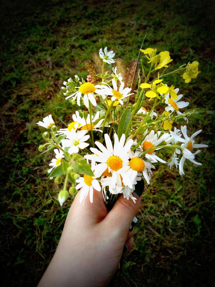 Mały bukiecik/Small bouquet of flowers puzzle online