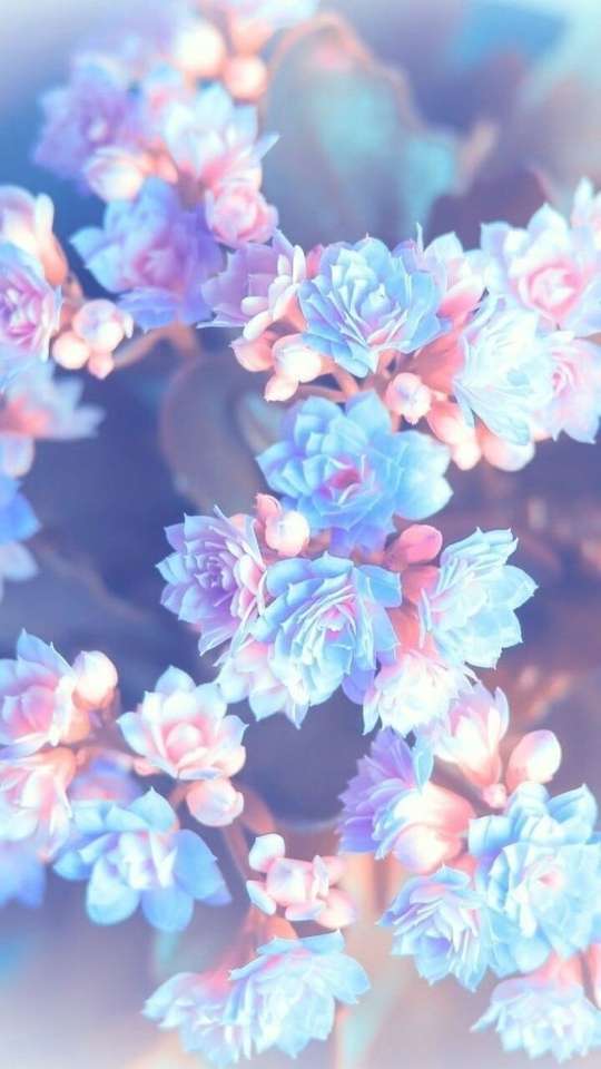 Niebieskie i różowe kwiaty? puzzle online