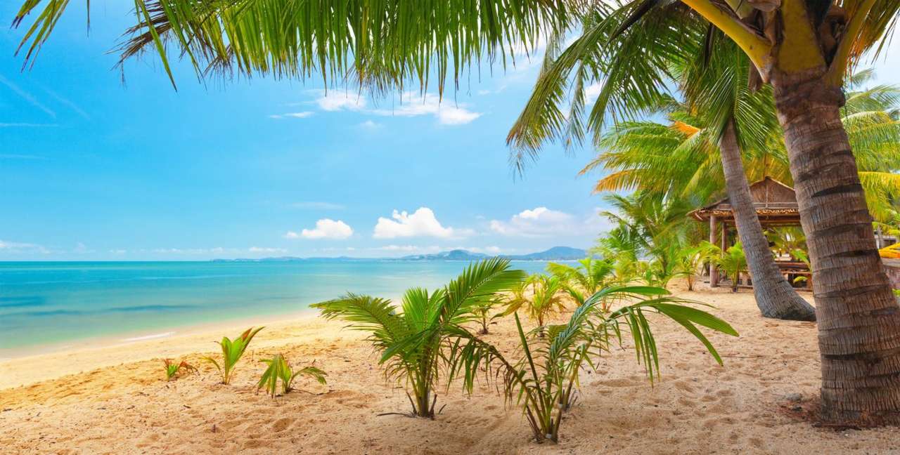 Plaża w tropikach puzzle online
