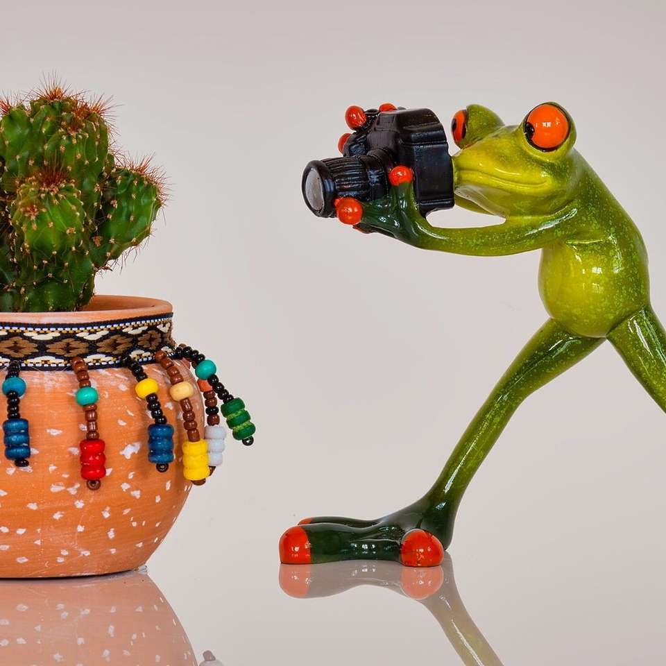 Figurka żabki z aparatem fotograficznym puzzle online