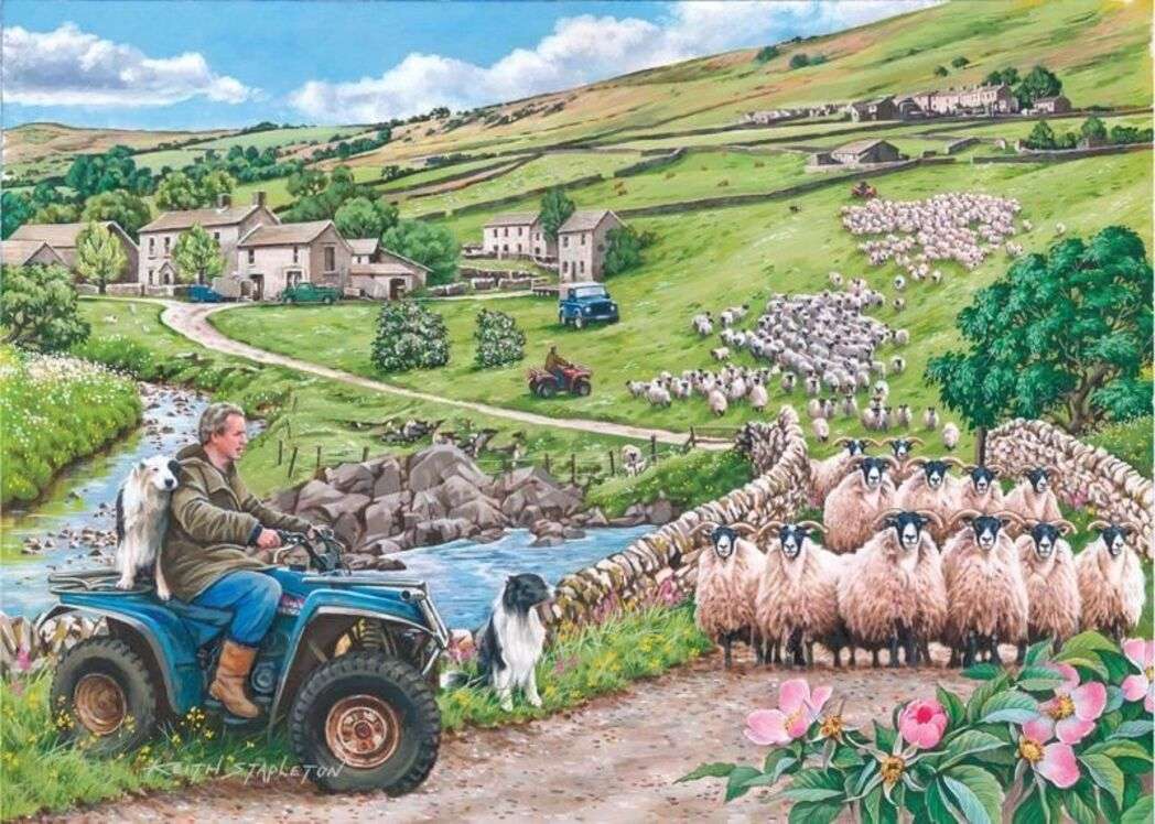 Krajobraz Irlandii, priorytet dla owiec! puzzle online