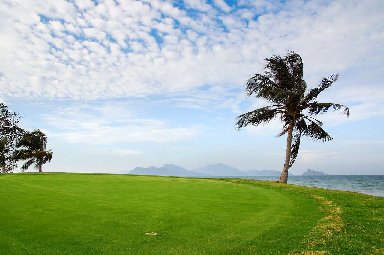 Pole golfowe i palmy puzzle online