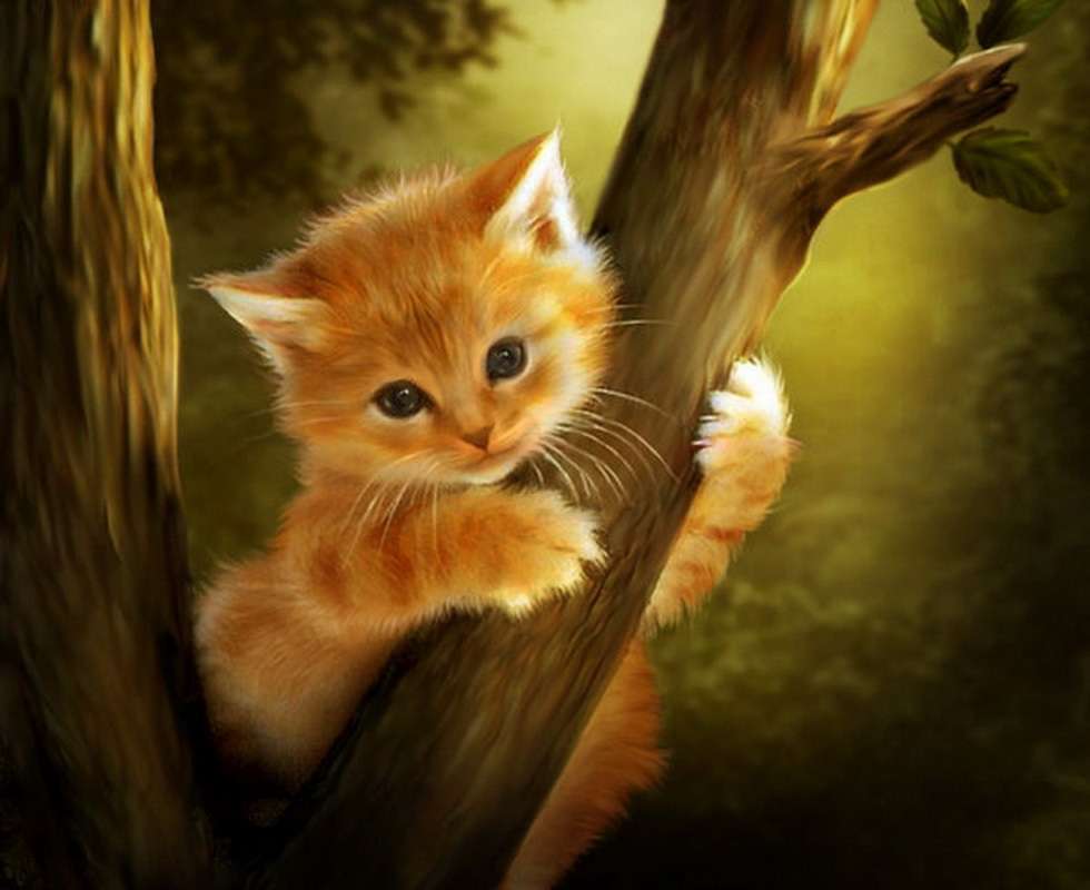 Kot w drzewie. puzzle online