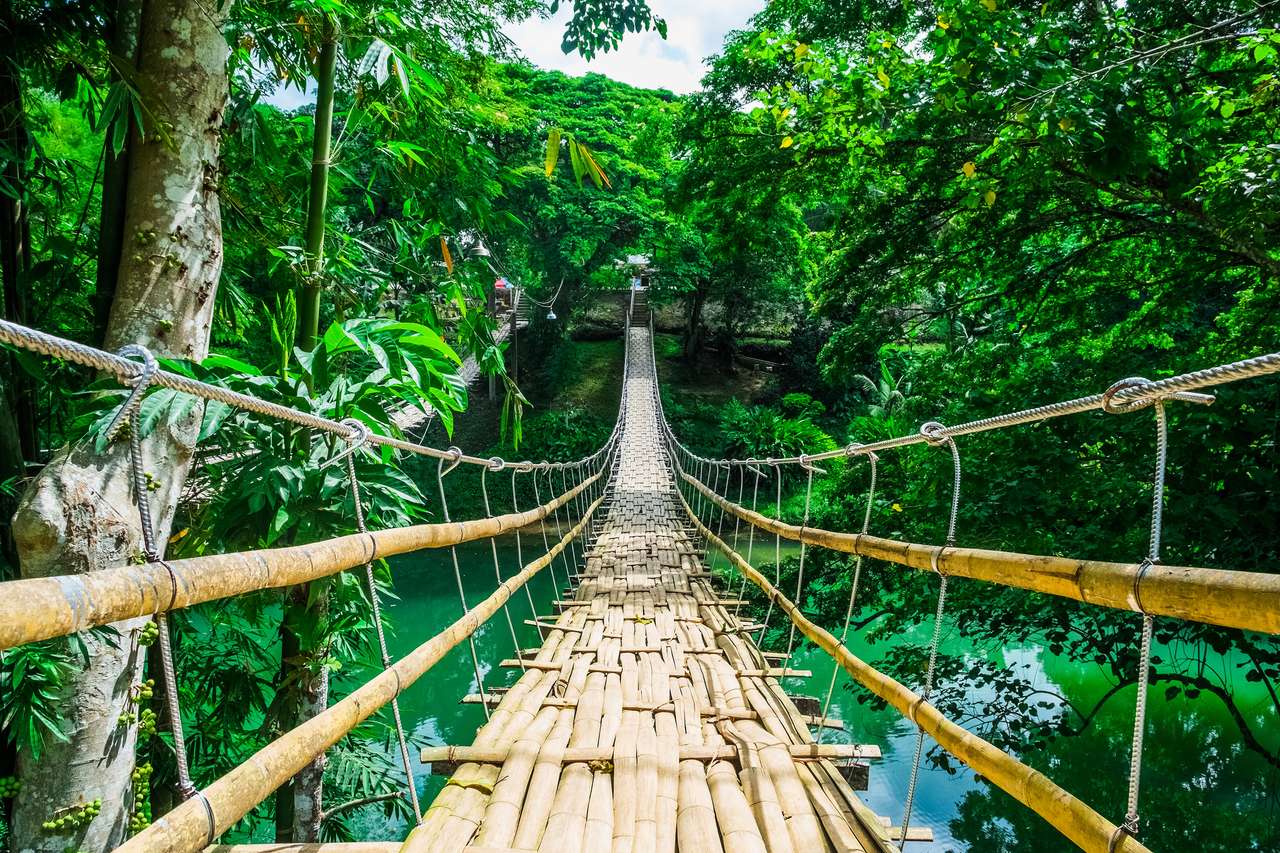 Bambusowy deptak most nad rzeką w lesie tropikalnym, Bohol, Filipiny puzzle online