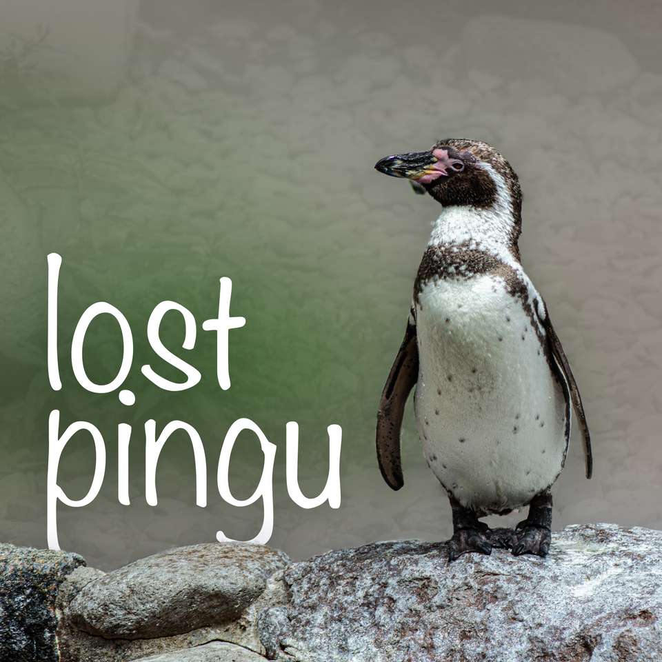 Pingwin wygląda zagubiony puzzle online