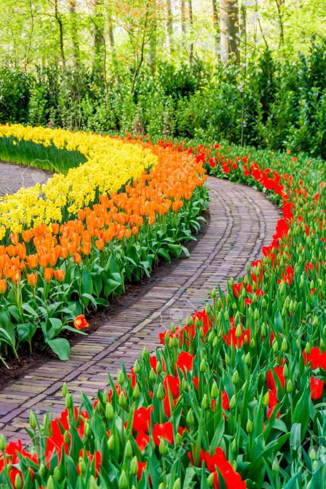 Ogród z tulipanami puzzle online