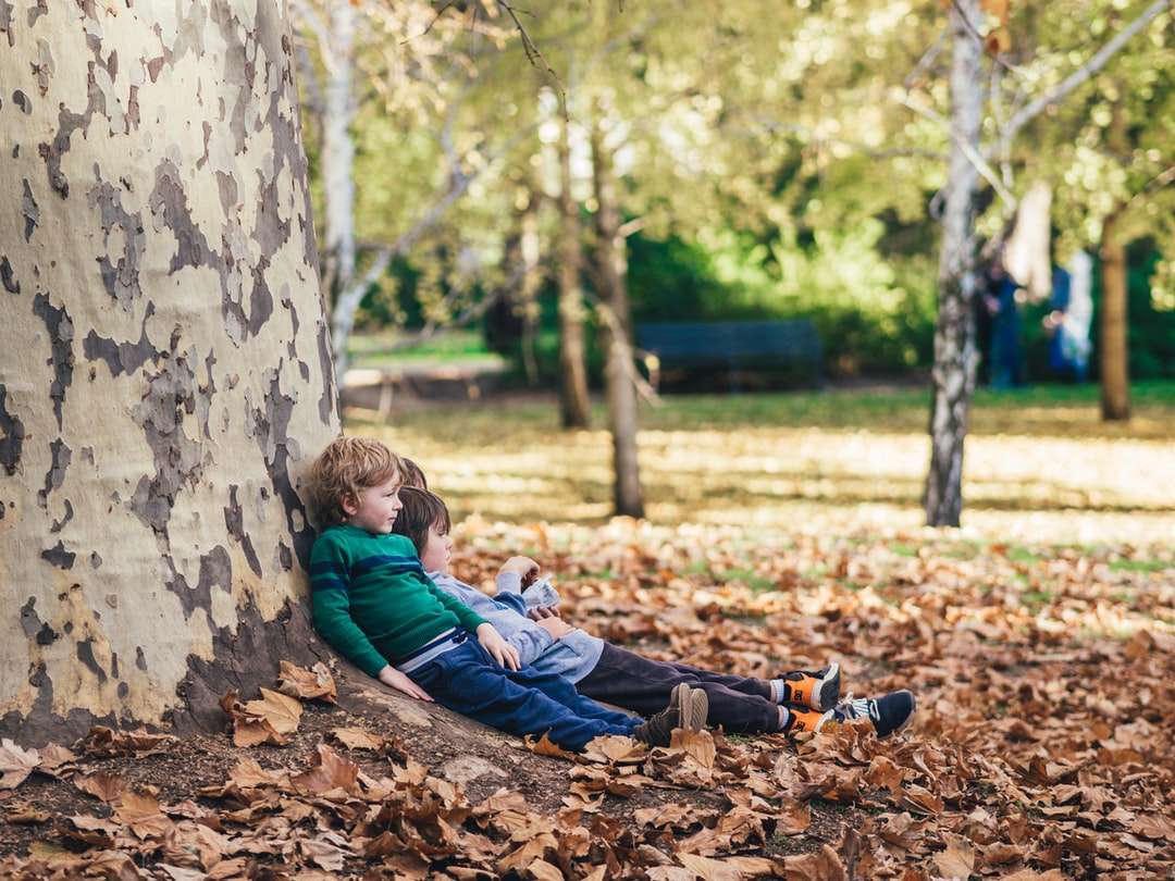 Dwoje dzieci siedzi na ziemi z suszonymi liśćmi puzzle online