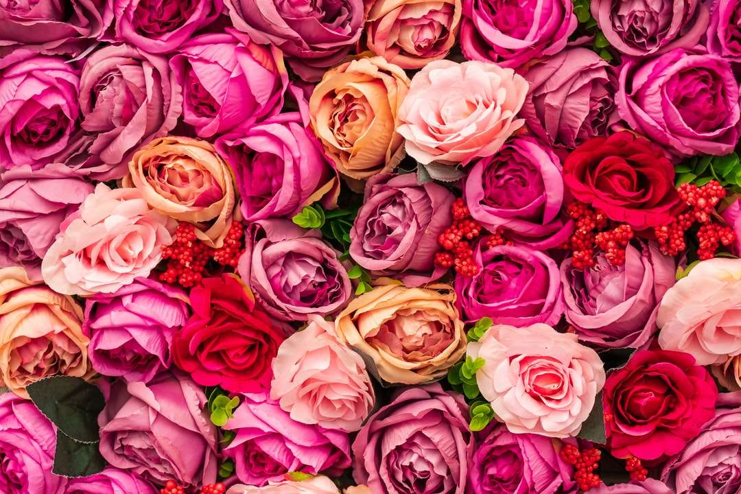 Różowe i żółte róże w fotografii z bliska puzzle online
