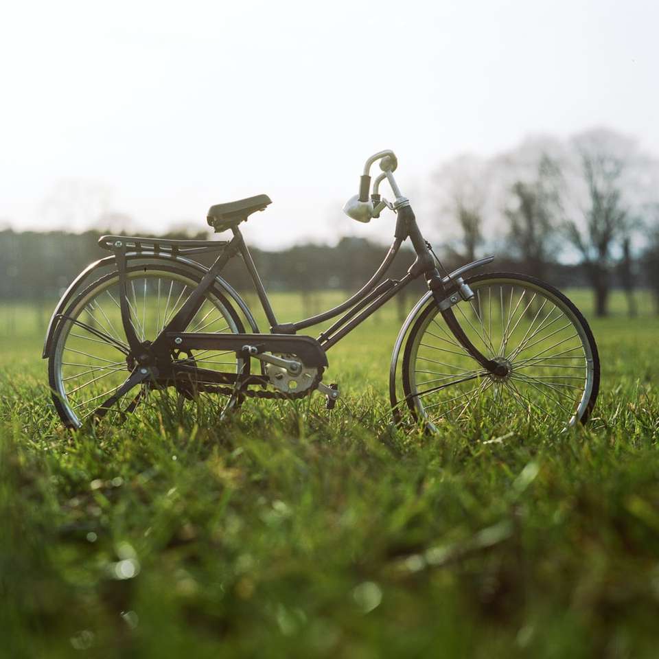 Black City rower na zielonej trawie polu w ciągu dnia puzzle online