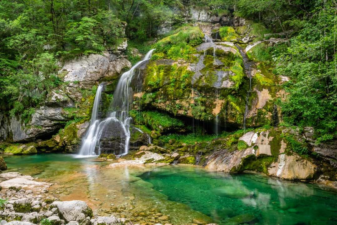 Wodospady w lesie puzzle online