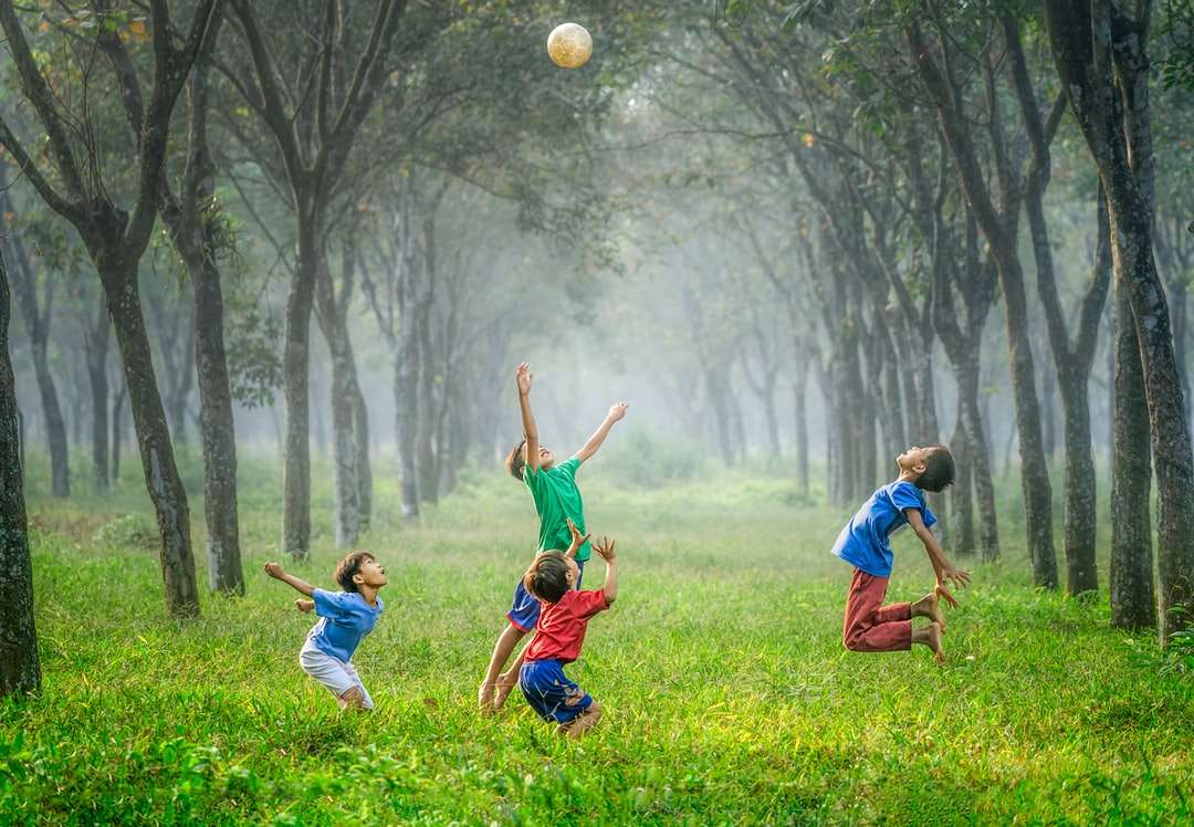 Cztery chłopiec bawić się piłkę na zielonej trawie puzzle online