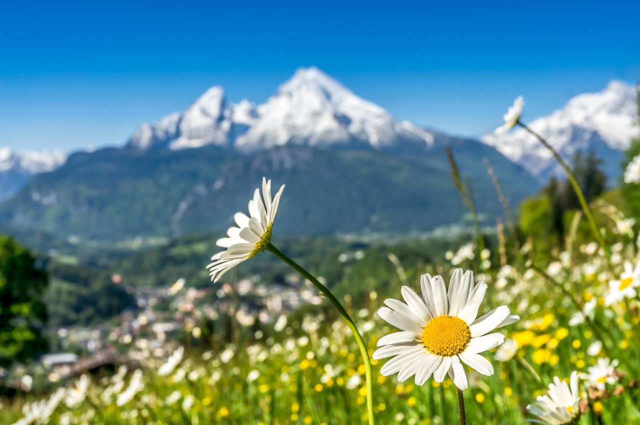 Artystyczny widok krajobrazu w Alpach Bawarskich z pięknymi kwiatami i rozmytym Watzmann górą w tle wiosną, Nationalpark Berchtesgadener Land, Bawaria, Niemcy puzzle
