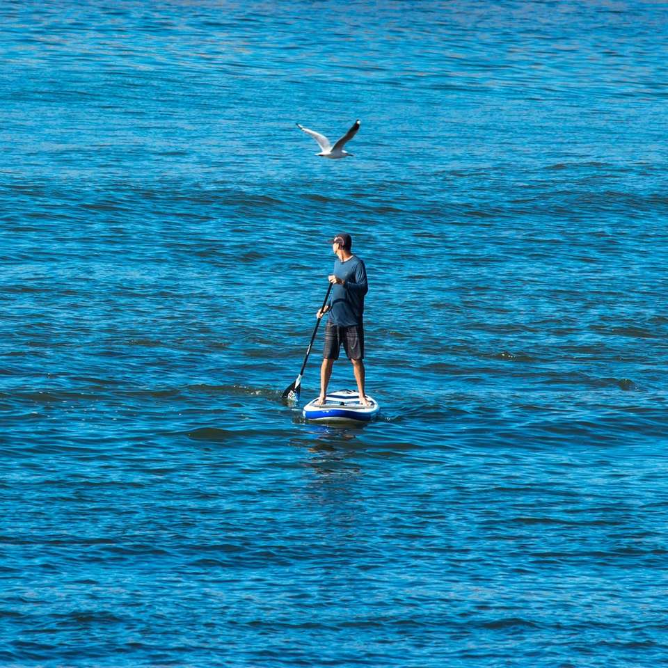 osoba stojąca na niebiesko-białej pływającej desce wiosłowej puzzle online