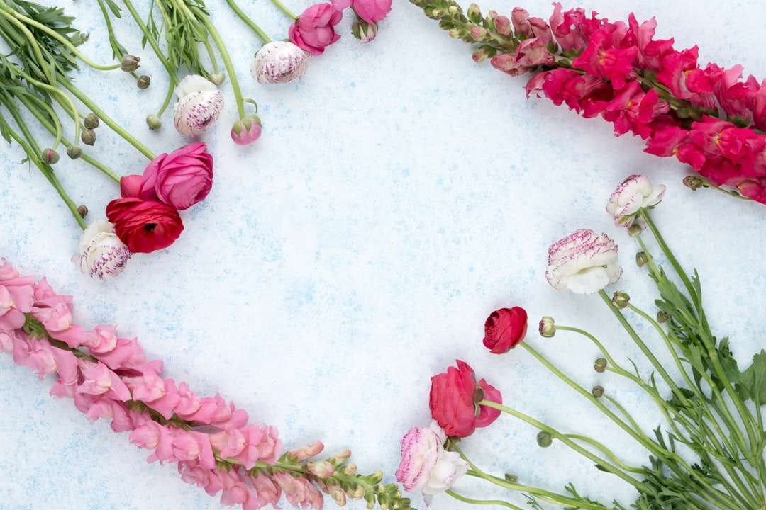 Assorted-kolor kwiaty położone na białej betonowej powierzchni puzzle online