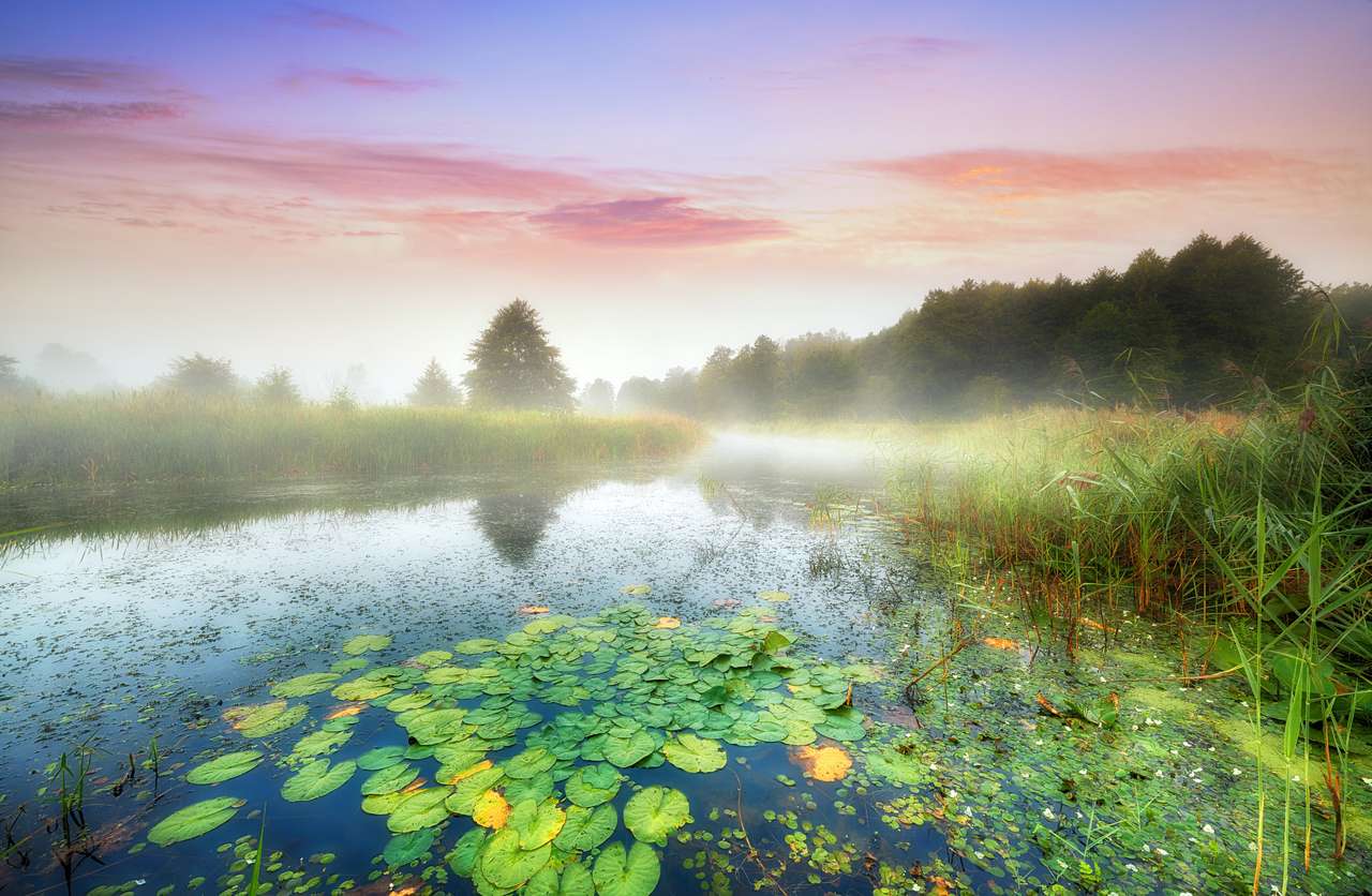Piękny mglisty poranek na brzegach rzeki puzzle online