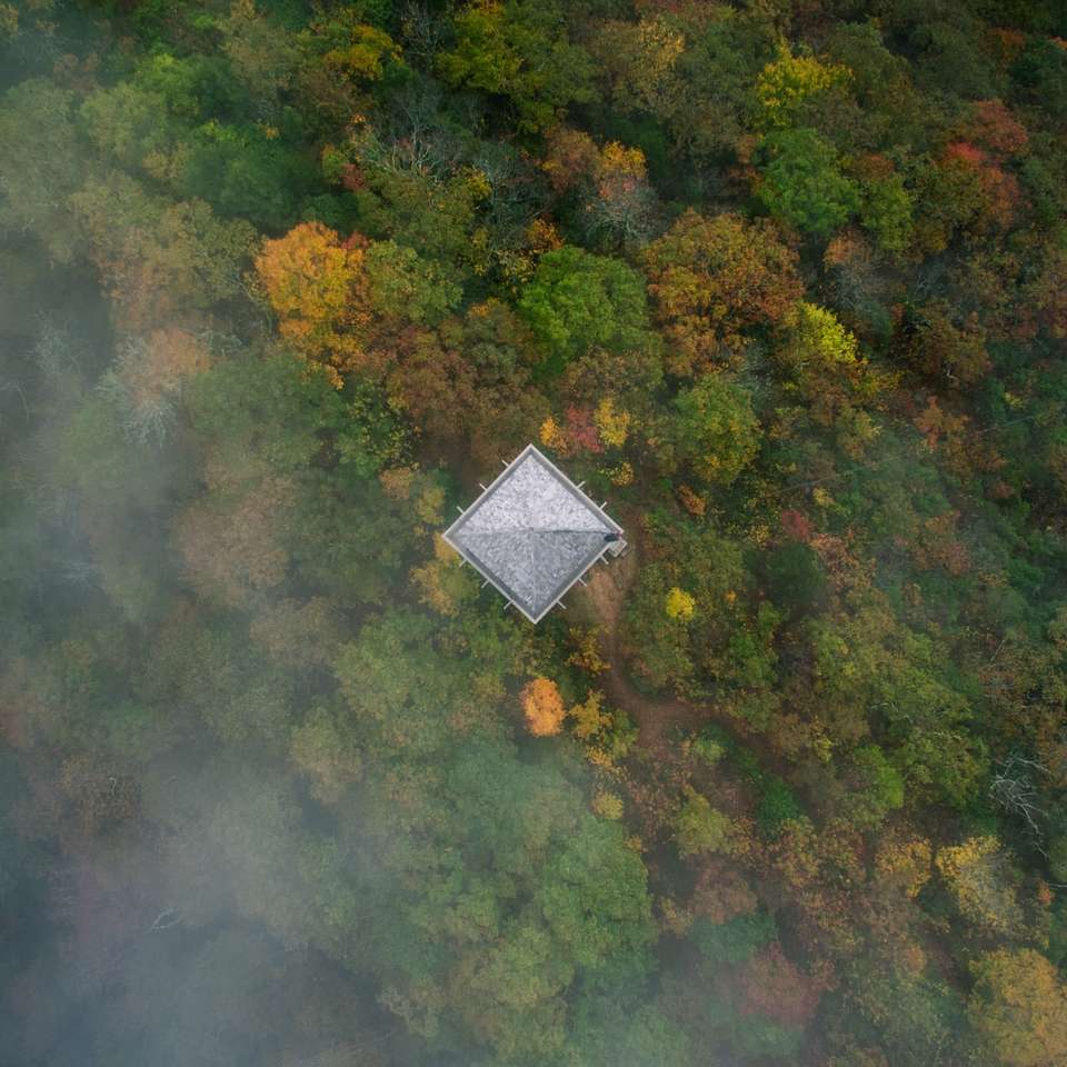 Widok z lotu ptaka domu w środku lasu puzzle online