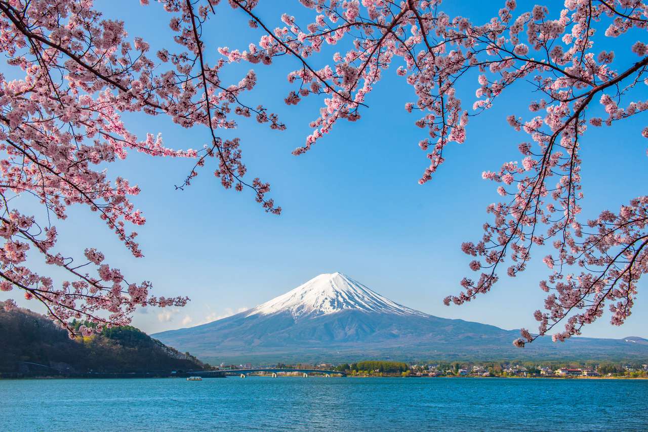 Fuji Mountain and Pink Sakura Gałęzie w Kawaguchiko Lake, Japonia puzzle online