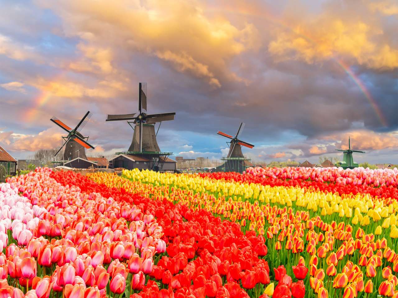 Tradycyjne holenderskie wiatraki puzzle online