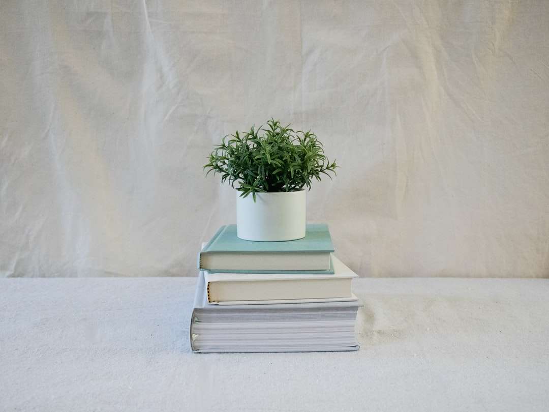 Trzy wypiętrzone książki i rośliny puzzle online
