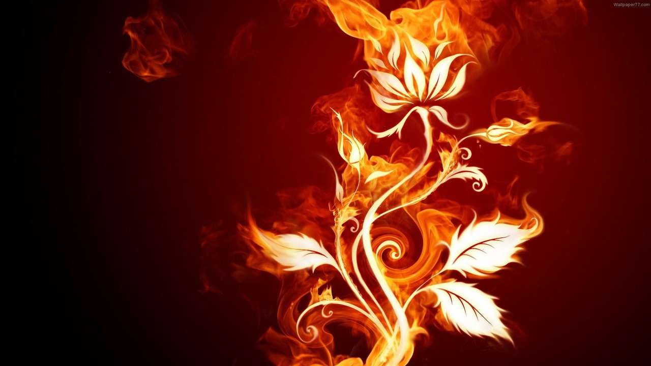 Kwiat ognia puzzle online