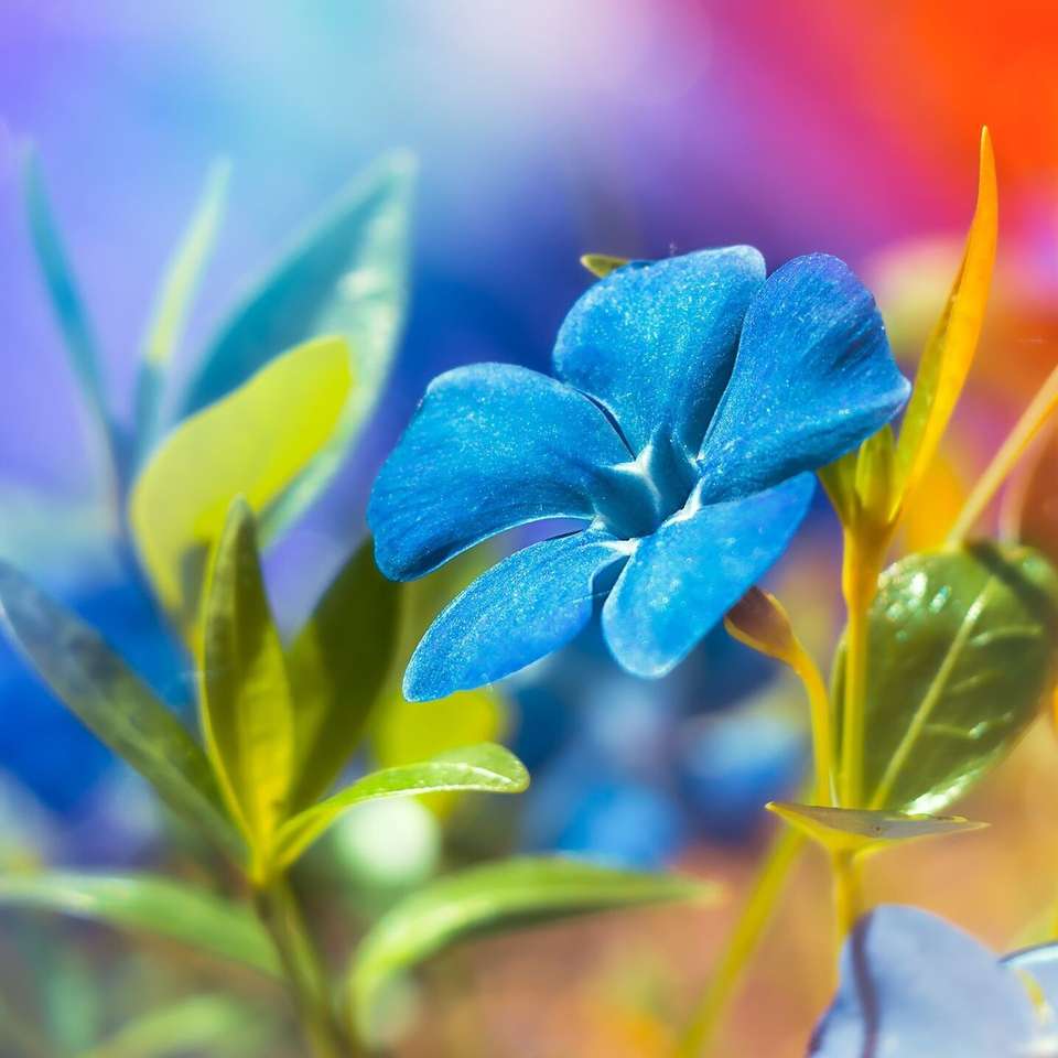 Niebieski kwiat puzzle online
