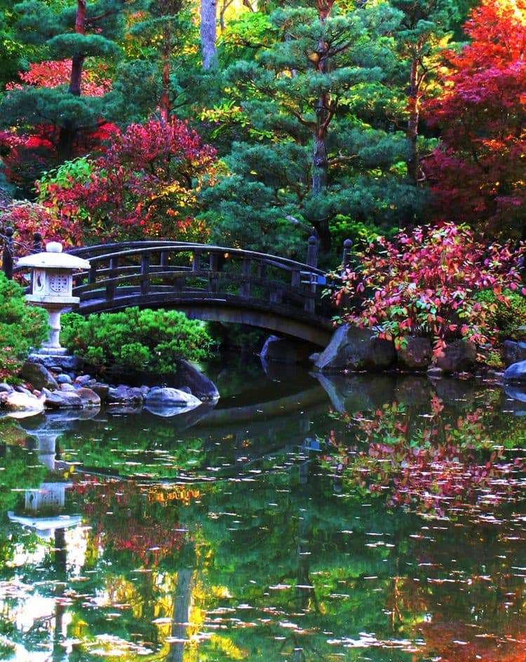 Andersen Japanese Garden, Rockford, Illinois, puzzle online
