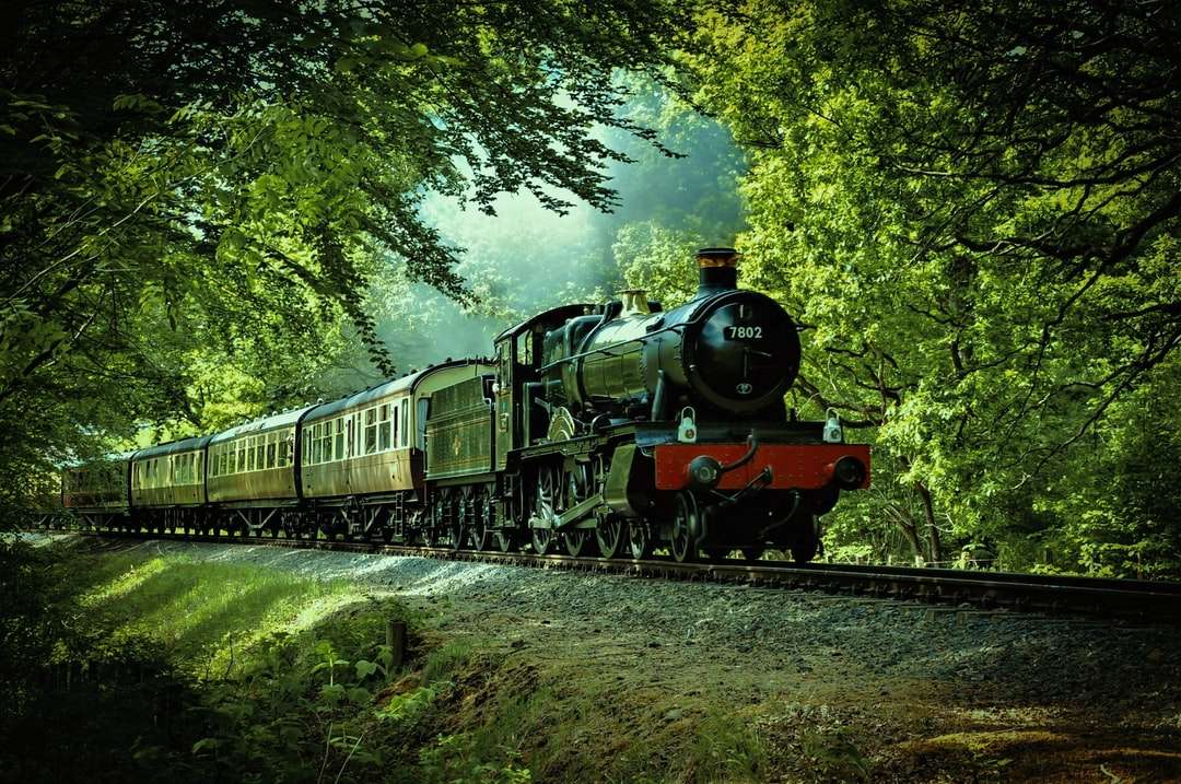 Czarny i czerwony pociąg przechodzący przez las puzzle online
