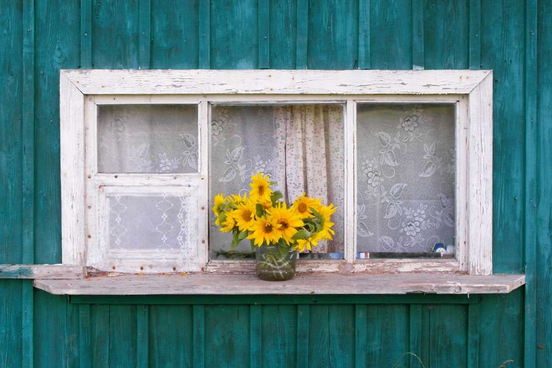 Żółte słoneczniki na parapecie okiennym puzzle online