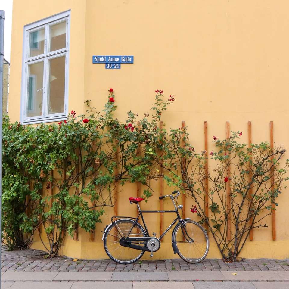 bicycled zaparkowany w pobliżu roślin puzzle online