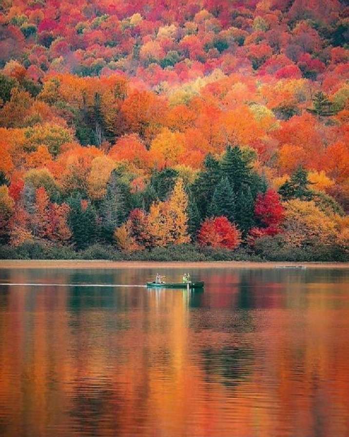 Jesień nad jeziorem. puzzle online