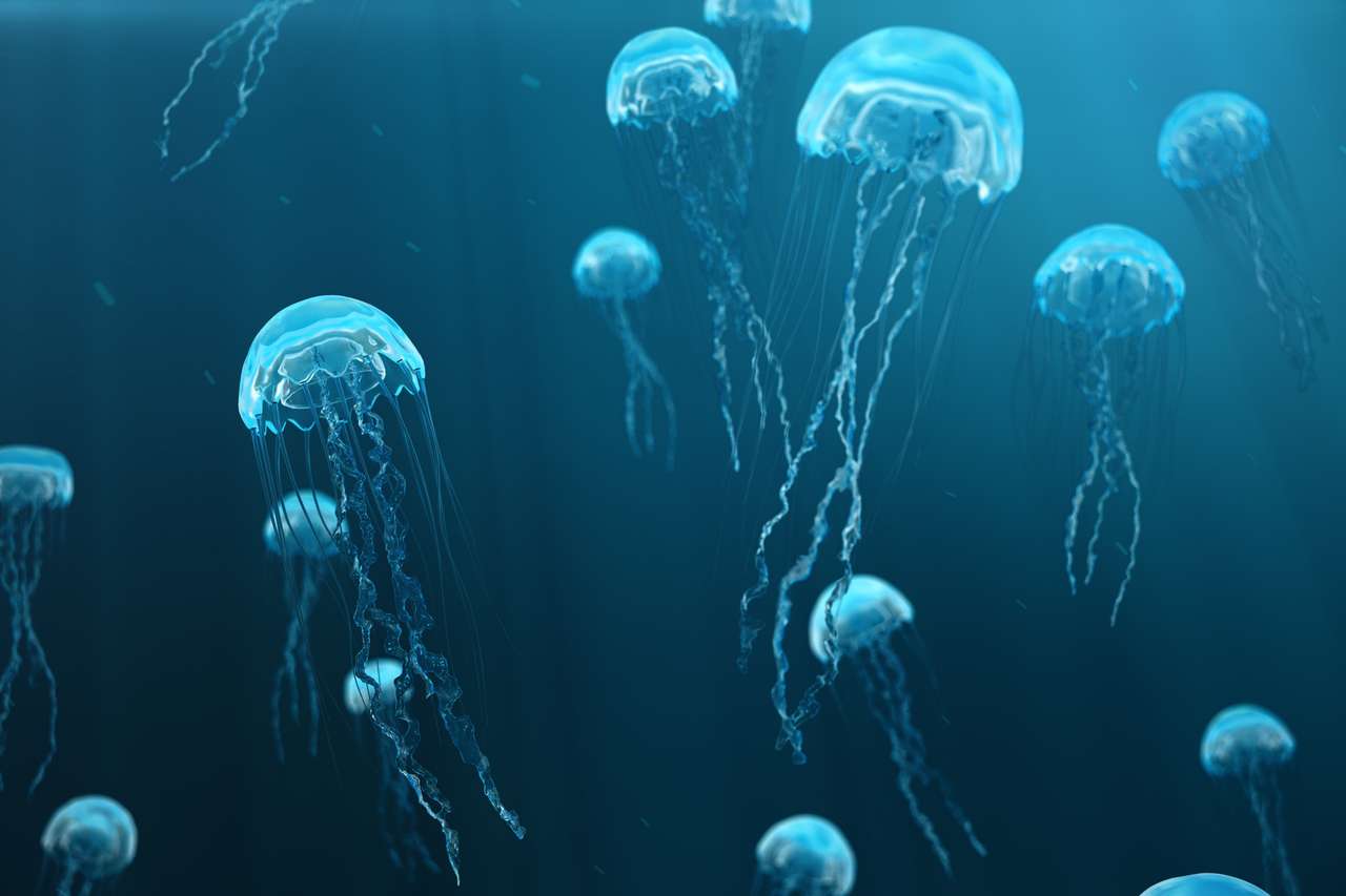 Jellyfish pływa w Morzu Oceanu puzzle online