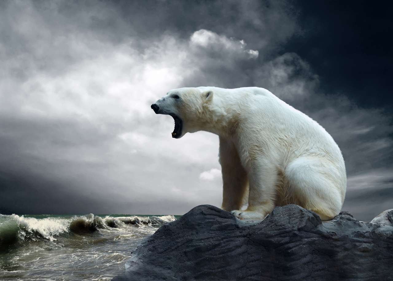 Бяла полярна мечка ловец на леда във водата пъзел