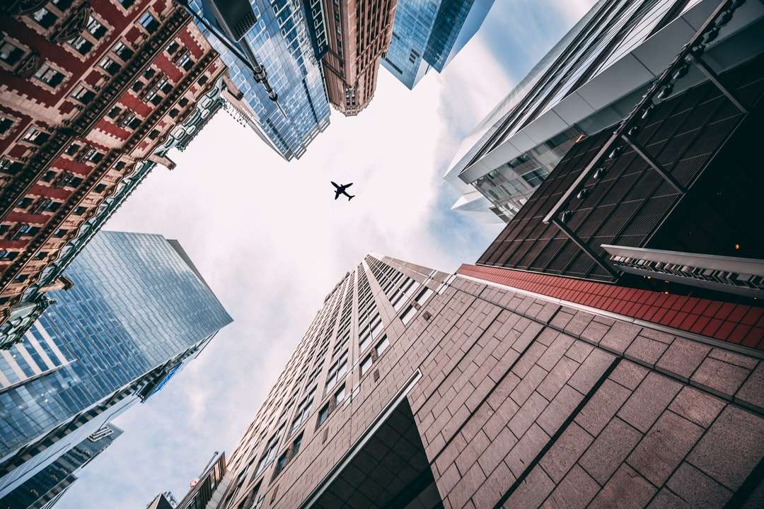 Widok z oczu robaka samolotu latającego nad miastem puzzle online