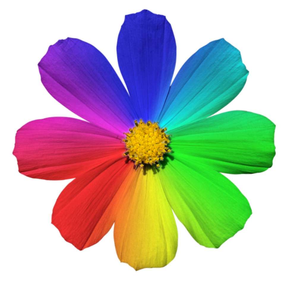 Tęczowy kwiat puzzle online