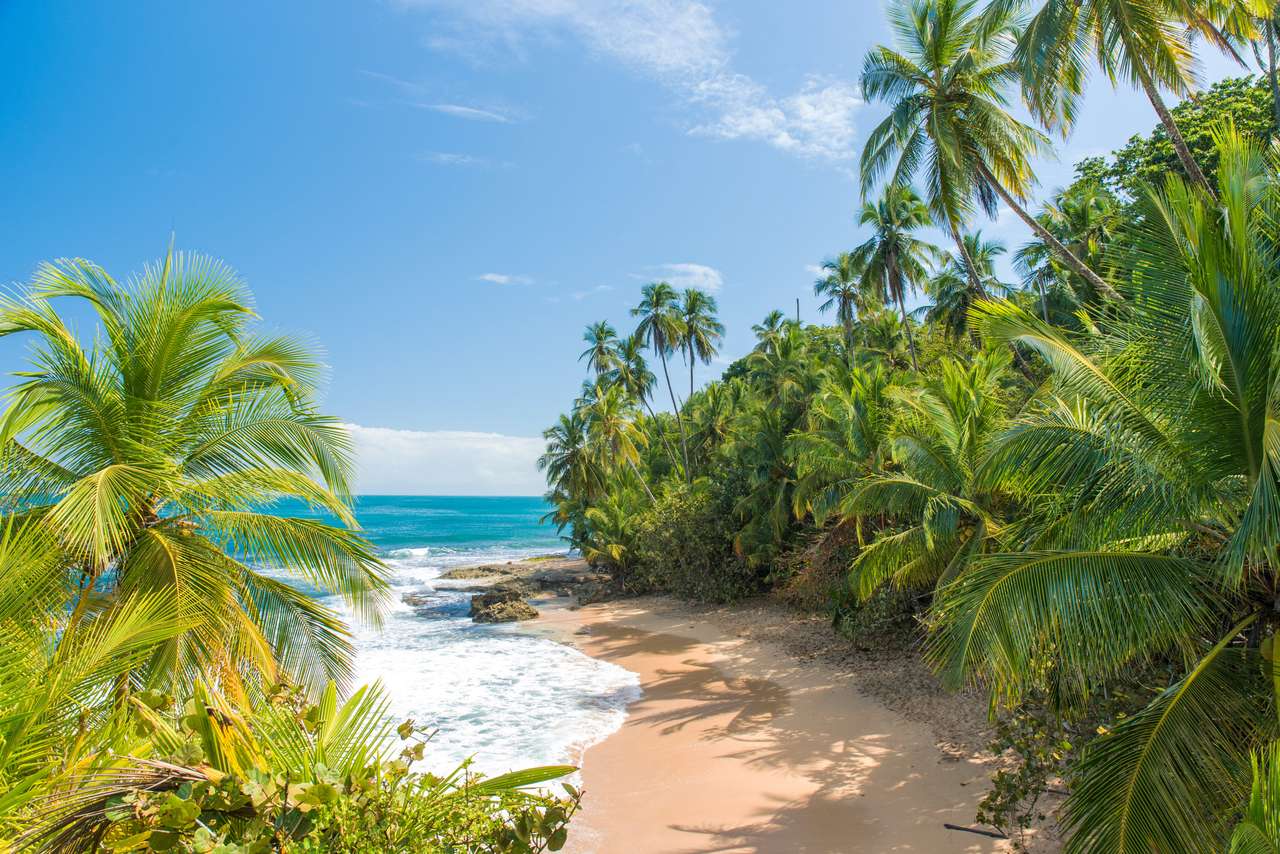 Wild Caribbean Beach Manzanillo w Puerto Viejo, Kostaryka puzzle online