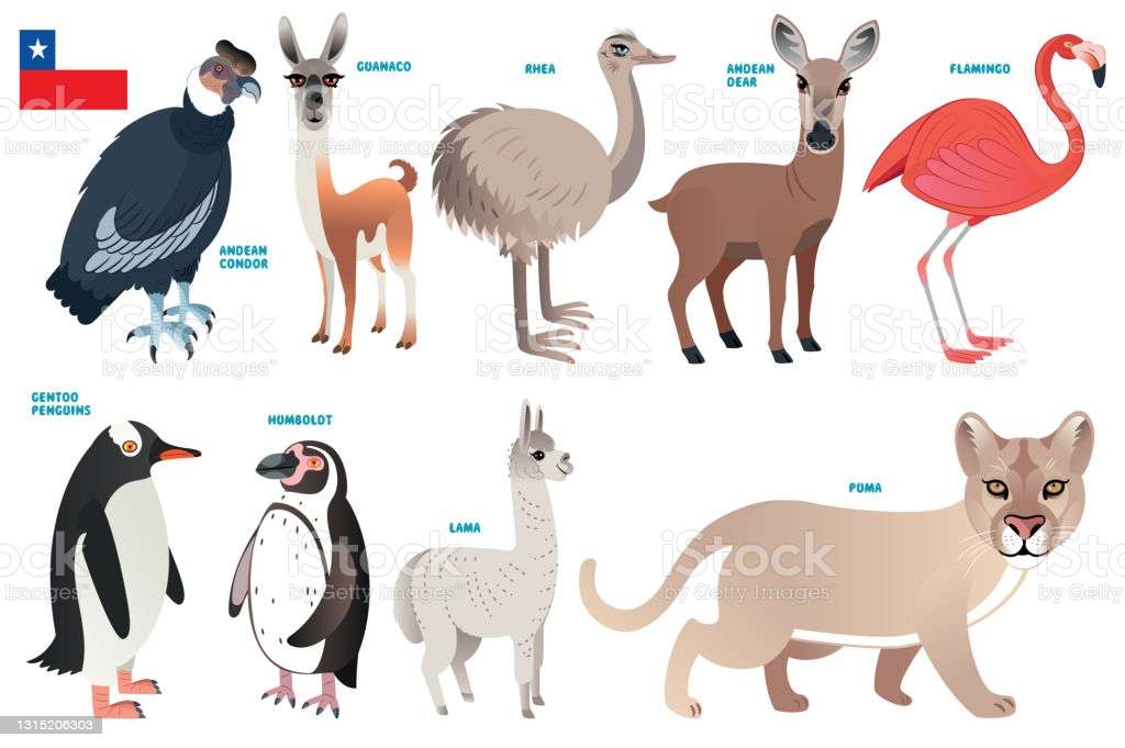 Chilijskie zwierzęta puzzle online